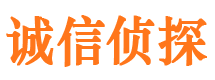 白沙寻人公司